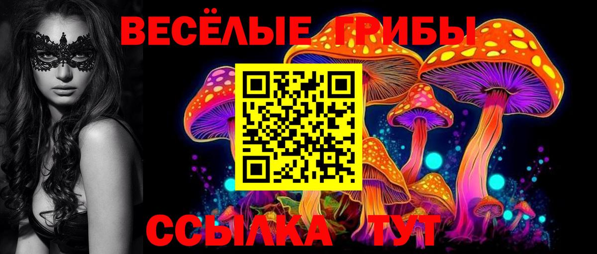 Киржач  Псилоцибиновые грибы Psilocybine cubensis  Вход с VPN 