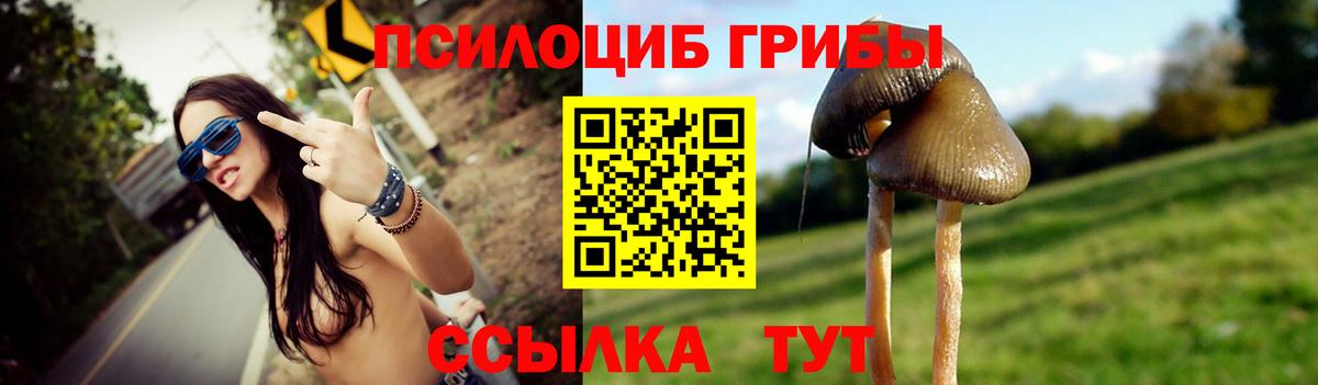 Псилоцибиновые грибы GOLDEN TEACHER Киржач
